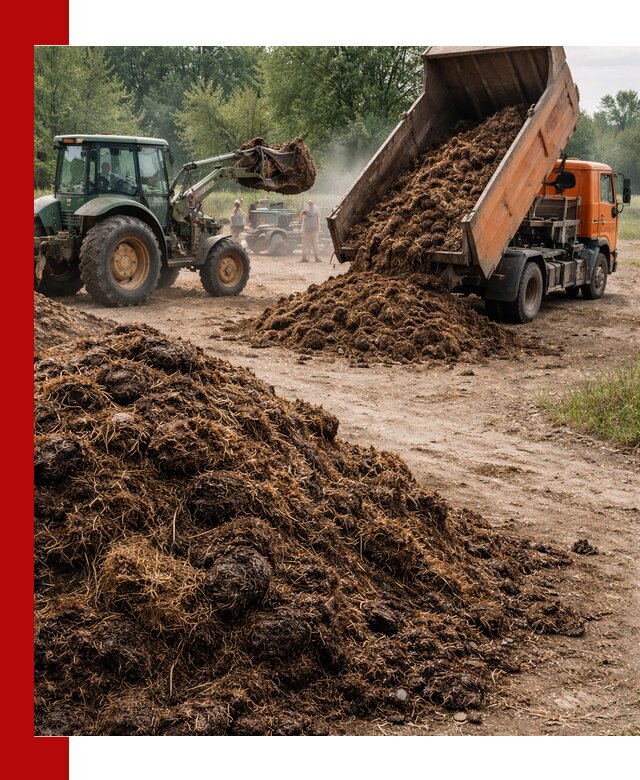 Доставка навоза самосвалами в Котельниках для сельхозпотребностей